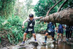 BIB: 
                            <button type="button" onclick="openModal(25375366)" class="btn btn-primary btn-sm float-right btn-popup" data-toggle="modal" data-target=".modal-high-quality">
                        <i class="fas fa-shopping-cart"></i> Add to Cart
                    </button>
                                            <button type="button" onclick="isThisMe(25375366, true)" class="btn btn-success btn-sm float-right btn-popup btn-isme hidden" data-toggle="tooltip" data-placement="bottom" title="นี่คือรูปของคุณใช่ไหม คลิกที่นี่เพื่อเอาเข้าอัลบั้ม">
                        <i class="fas fa-plus"></i> Add to album
                    </button>
                    <button type="button" onclick="isThisMe(25375366, false)" class="btn btn-warning btn-sm float-right btn-popup btn-isnotme hidden">
                        <i class="fas fa-ban"></i> Remove from album
                    </button>